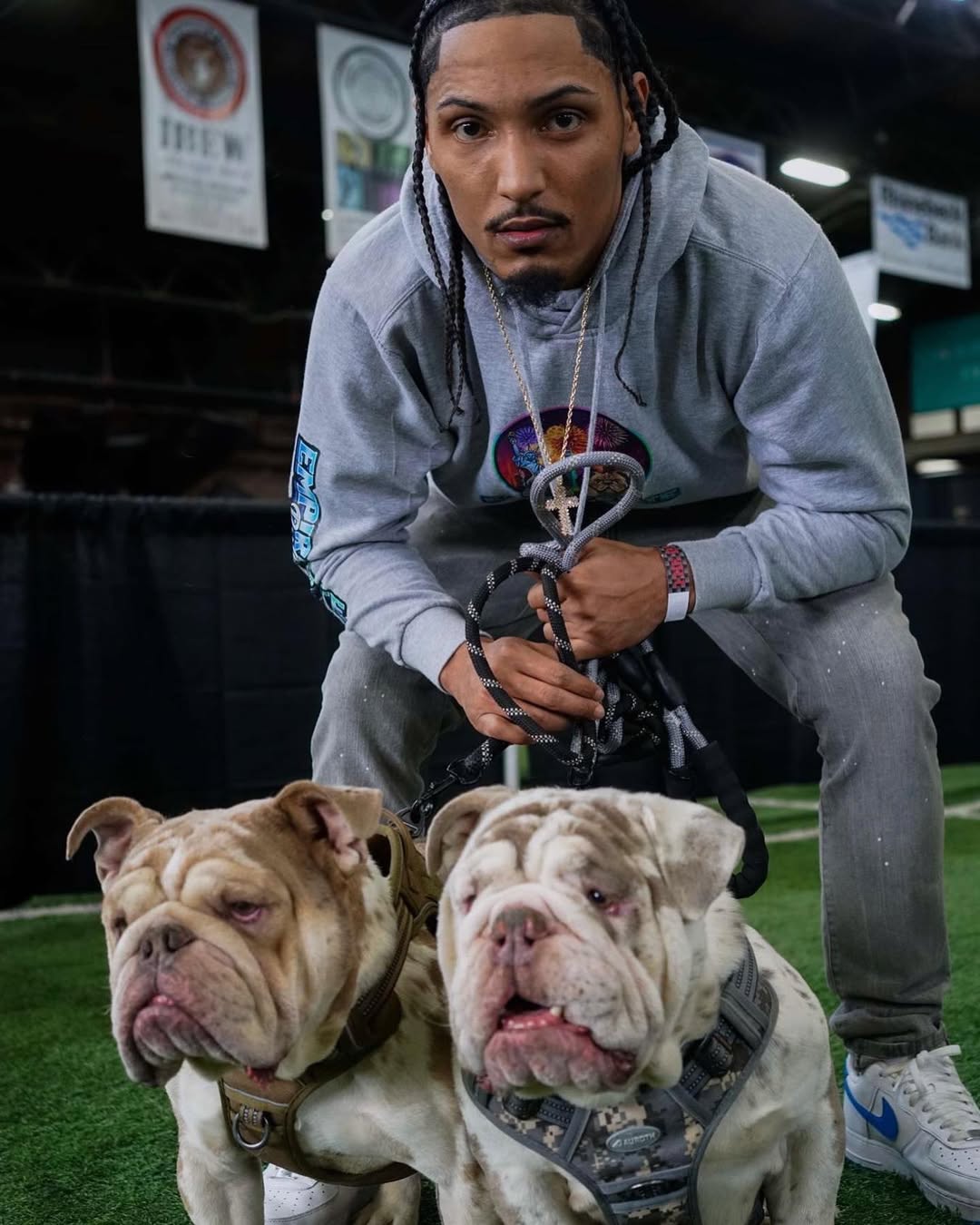 Fresh Frenchie Photo 4