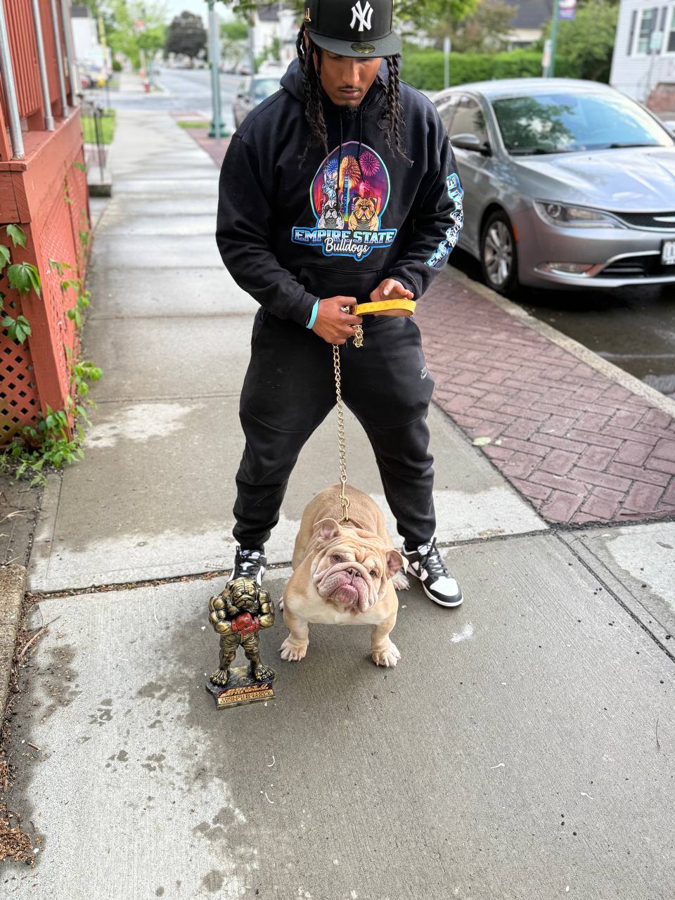 Fresh Frenchie Photo 5