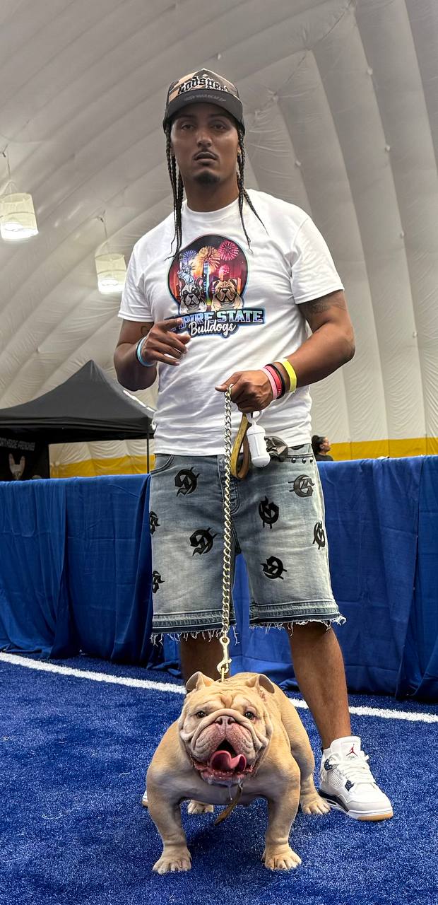 Fresh Frenchie Photo 6